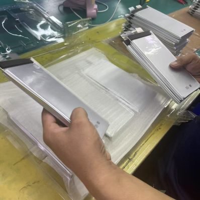 Cell Visual Inspection